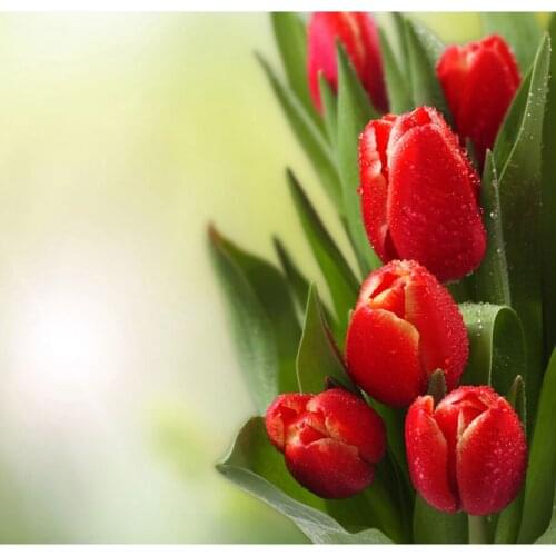 Diamond Embroidery,red Floral,Netherlands Tulip,5D,Diamond Painting,Cross Stitch,3D,Diamond Mosaic,Decoration,Christmas AS588