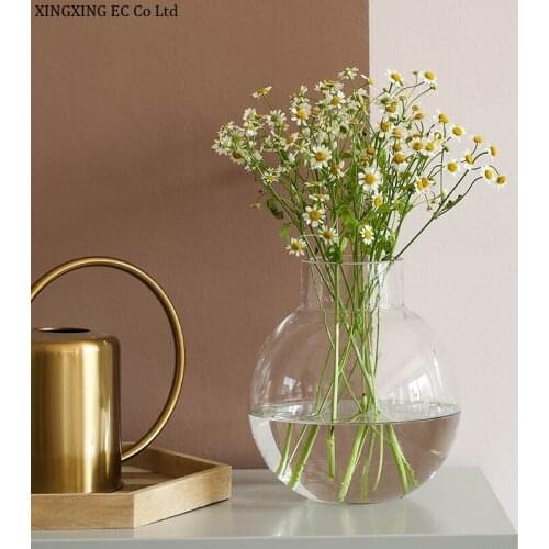 Transparent Glass Vase Decoration Simple Living Room Flower Arrangement Dried Flower Decoration Creative Hydroponic Green