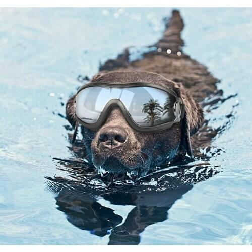 Pet Sun Glasses Dog Supplies Goggles Waterproof Windproof Protection Swimming Skating Glasses Accessaries UV Big Dog Glasses