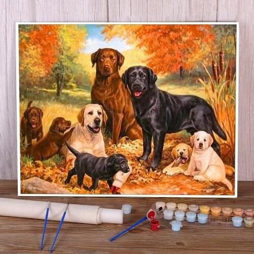 Animal Dog Labrador DIY Painting By Numbers Set Acrylic Paints 50*70 Oil Painting Wall Paintings For Children For Handiwork