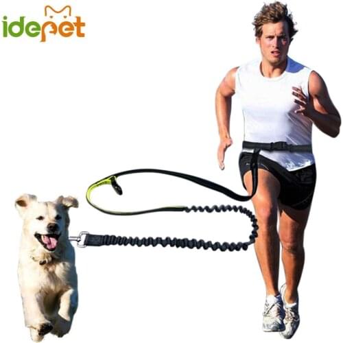 IDEPET Leashes For Dogs