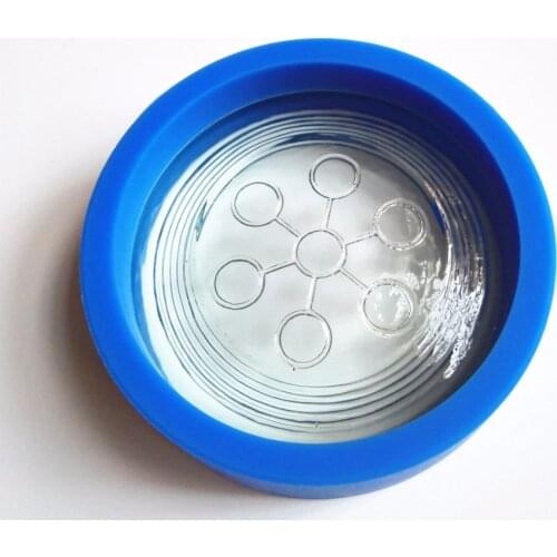 BIO DISC2 with silicone protection ring Scalar Energy disc Water Quantum 2500 negative ions BIO DISC2 with new packing