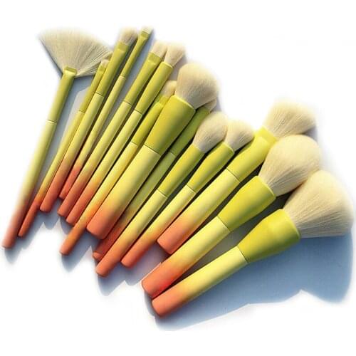 Gradient Color Pro 14pcs Makeup Brushes Set Cosmetic Powder Foundation Eyeshadow Eyeliner Brush Kits Make Up Brush Tool