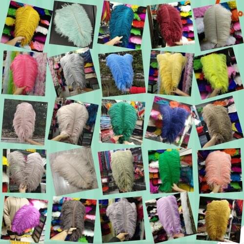 Wholesale 500pcs 25 Colors ostrich feathers 10-12inches / 25-30cm For Wedding Christmas Home Craft New Year decoration