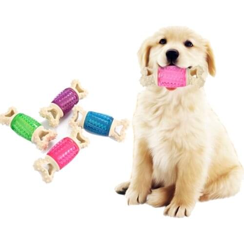 New Bite Resistant Pet Dog Chew Bone Toy for Small Medium Dogs Interactive Squeak Puppy Bull Terrier Toys Mascotas Accessories