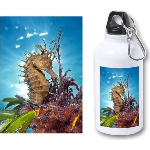 MERCHANDMANIA BIDON METALICO 400ML seahorse fish and corals bottle metal travel sport picnic fishing custom hunting