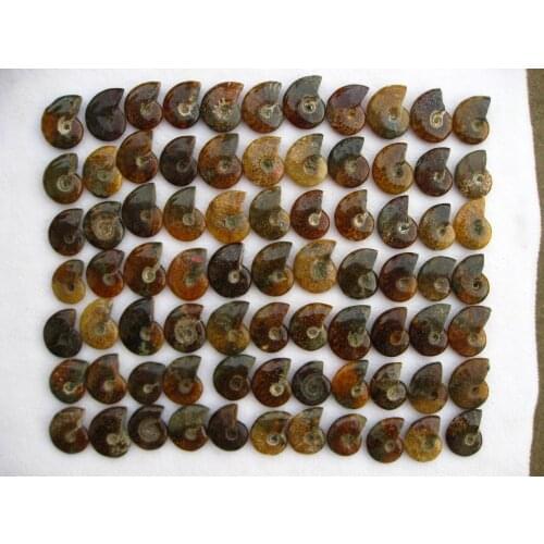 77(1.82lb) NATURAL fossil ammonite MADAGASCAR