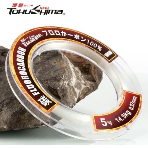 Fishing Line 100% Fluorocarbon Coating 50M 100M Fishing Leader Line Sinking Monofilament Leader Carbon Fiber Fly Fishing Cord