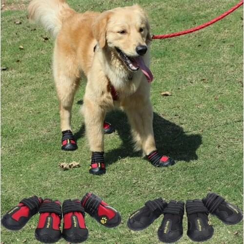 Мужские кроссовки PETS-LEADER China At AliExpress