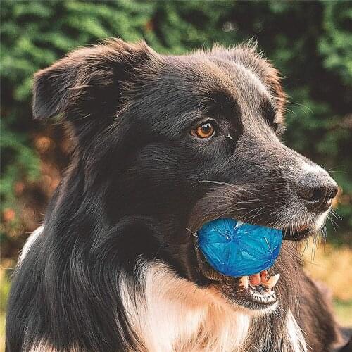 Dog Ball Elastic Flash LED Ball Bounce-activated Light Up Squeaker Floating Interactive Toy Ball For Pet Dogs Cats Toy Dropship