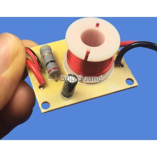 Full Frequency Speaker Notch Filter LCR Wave Trap for DIY 2-4 inch Speaker