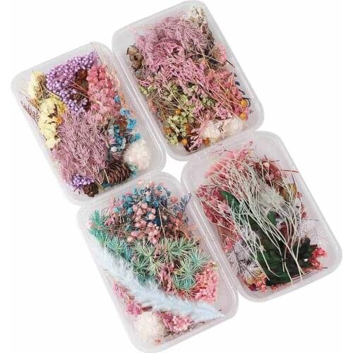 1 Box Colorful Real Dried Flower for DIY Scented Candle Jewelry Epoxy Resin Pendant Necklace Jewelry Making DIY Random Colors
