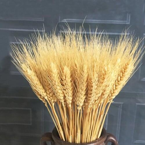 25pcs Wheat Flower Bouquet Decoration For Wedding Party DIY Craft Natural Pampas Rabbit Tail Grass Dried Flowers