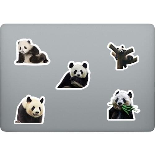 50PCS Vinyl Stickers Pack Waterproof Cute Panda Graffiti Decals for Water Bottle Phone Case Laptop Suitcase PVC Switch Sticker