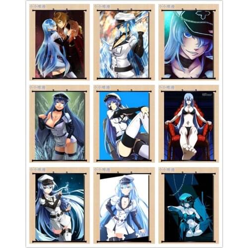 Coscase Japanese Anime Akame ga KILL! Character Esdese Esdeath Home Decor Wall Scroll Poster Decorative Pictures