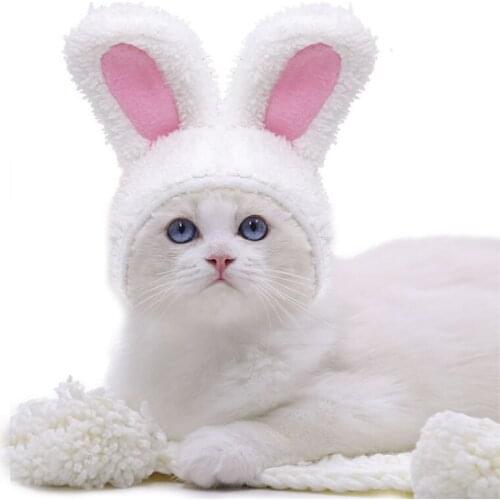 Cat Puppy Dog Hat Funny Pet Cap Chihuahua Yorkshire Maltese Shih Tzu Pomeranian Poodle Small Dog Accessories Headwear Dropship