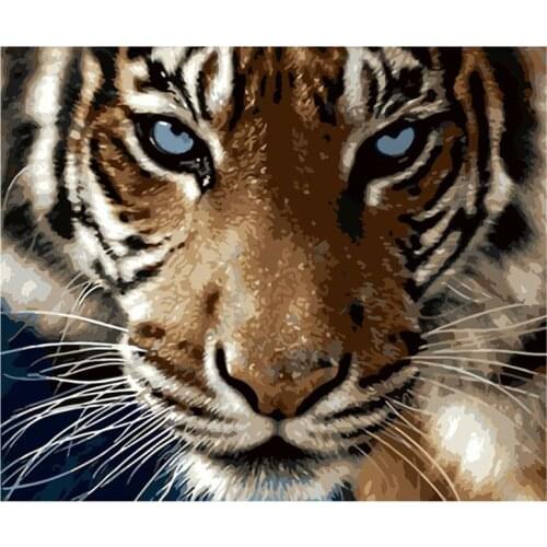 Tiger DIY Digital Oil Painting By Numbers Canvas Wall Arts Hand Painted Picture Paint for Adult Beginner Home Decor