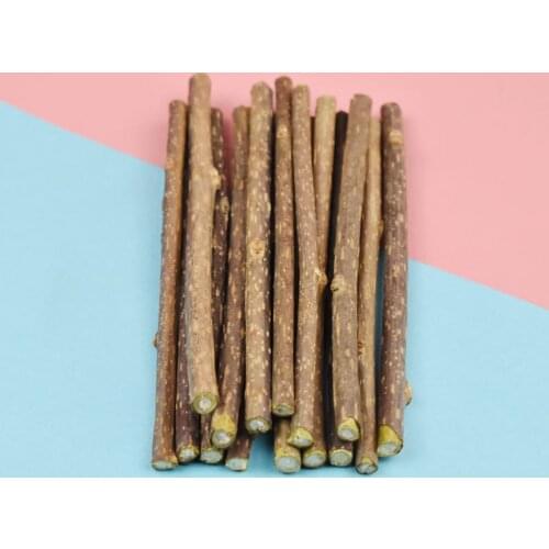 15Pcs Natural Catnip Cat Snacks Sticks Actinidia Silvervine Cleaning Tooth Pet Toy For Cat Toys Supplies