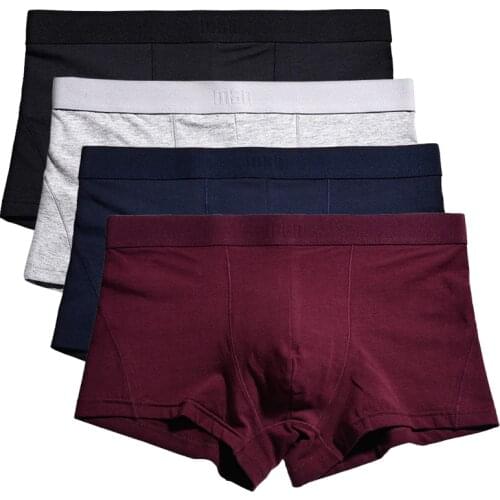 2021 Hot Sale Boxers Men Big Waist Cotton Boxershorts Underwear Macho Homme Living Pants Hombres High-quality Boxeador XXXL U860