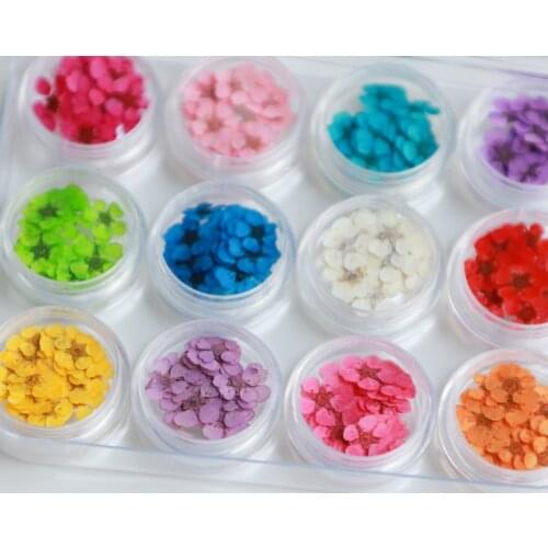 36/120/240Pcs/Box Natural Real Dried Flower Nail Art Decals Leaf Dry Plant for Epoxy Resin Pendant Necklace Making Craft DIY