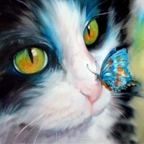 5d diy diamond painting cat and butterfly mosaic painting rhinestones diamond embroidery cats animal pictures broderie diamant