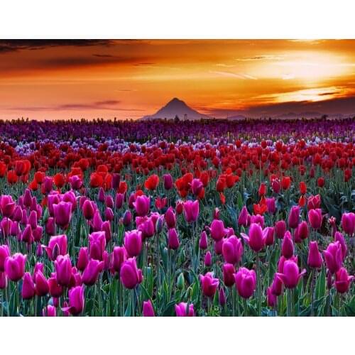 Jmine Div 5D Lavender tulips Flower Field Full Diamond Painting cross stitch kits art High Quality Scenic 3D paint by diamonds