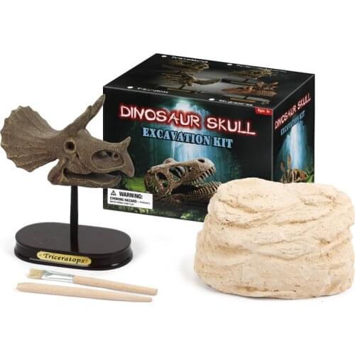 FEOOE Hot-selling Dinosaur Head Animal Toy Desk Furnishings Personalized Jewelry Tyrannosaurus Children Model Toy ZXQ