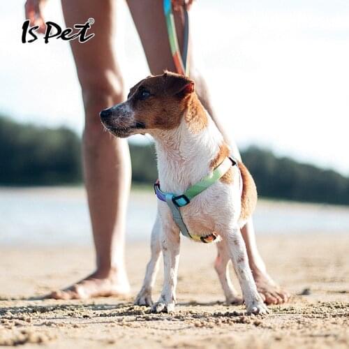 Dog Harness Fashion Chihuahua French Bull Christmas Dog Beagle German Shepherd Pomeranian Labrador Arnes Perro Pequeño Mediano