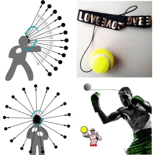 Lomachenko Boxing speed ball hand eye coordination visual dynamic response consciousness speed training improve response ability