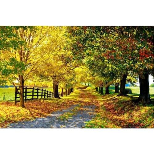 A3557 11CT/14CT/18CT/25CT/28CT christmas man patterns Counted Cross Stitch DIY Cross Stitch Kits Embroidery Needlework Sets