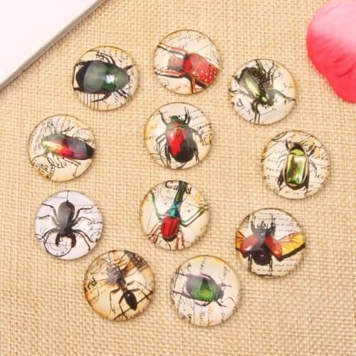 Mixed Round Flatback Beetles Photo Glass Cabochon 10mm 12mm 14mm 18mm 20mm 25mm for Necklace Pendants making