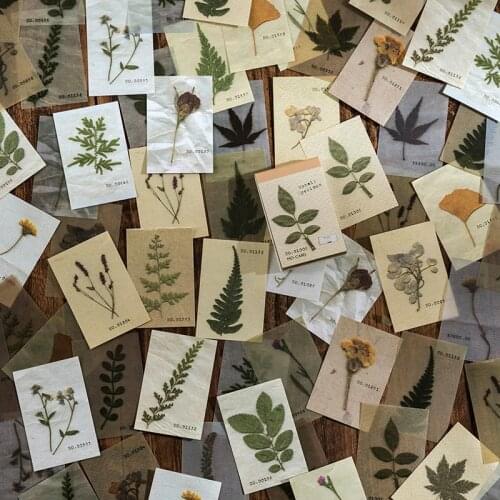 80pcs/set Leaf specimen flower diary Mix Material Paper Junk Journal Planner Scrapbooking Vintage Decorative DIY Craft Paper