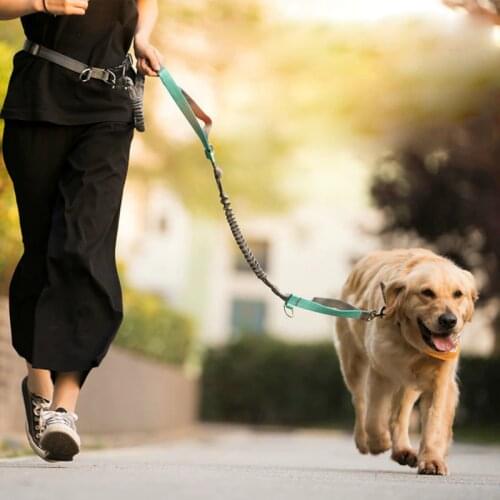Heavy Duty Retractable Medium Big Dog Leash for Dogs Hands Free 150 lbs Strong Running Pet Lead Reflective Dog Chain Accessories