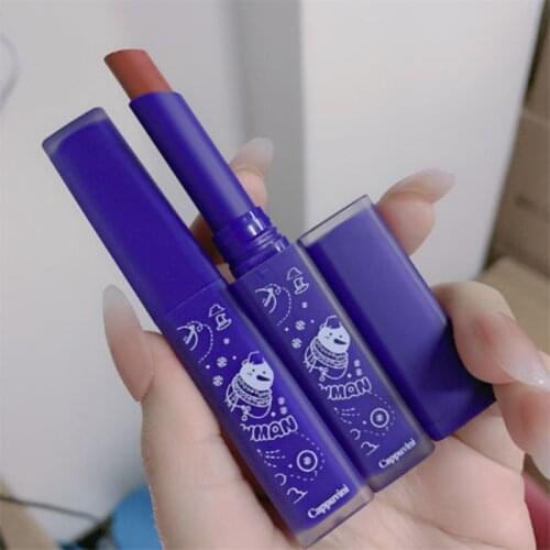 Durable Lip Glaze Liquid Lipstick Easy To Color Long Lasting Lip Gloss Matte Velvet Lip Stick ​Lip Women Cosmetic TSLM1