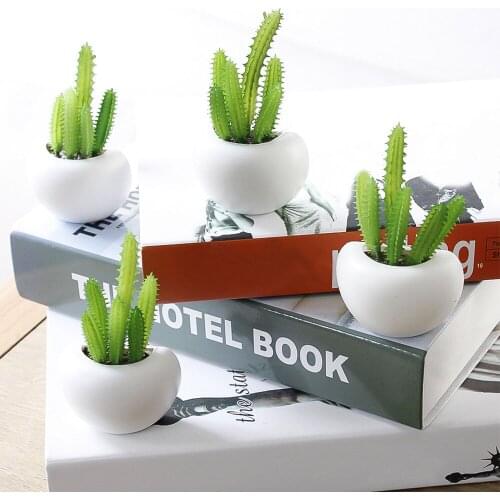 1PCs Fridge Magnets Sticker Cute Cactus Succulent Plant Magnet Button Cactus Refrigerator Message Sticker Home Decoration