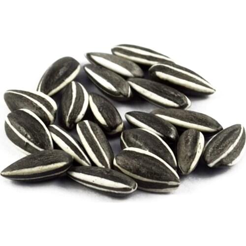 Home Decoration Porcelain Material Sunflower Seeds Small Pieces