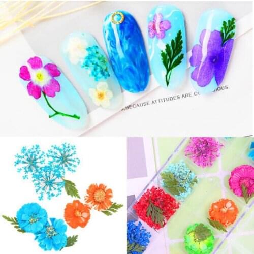 1 box nail art flowers nail 3d sticker DIY decoration colorful tips dry flower jewelry accessories manicure tools