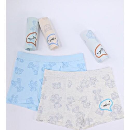 10 PCS Of High Quality Kiddies Shorts Cartoon Soft Lycra Panties For Boys And Teens 4-12T