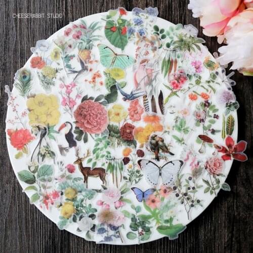 KLJUYP 60pcs Plants Colorful Litmus Paper Die Cuts for Scrapbooking Happy Planner/Card Making/Journaling Project