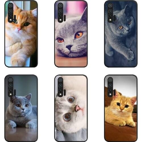 British Shorthair Cat Phone Case For Huawei Nova 6se 7 7pro 7se honor 7A 8A 7C 9C Play