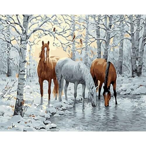 GATYZTORY Paint By Numbers For Adults Children Horse Picture DIY HandPainted Oil Painting Drawing On Canvas Home Decoration