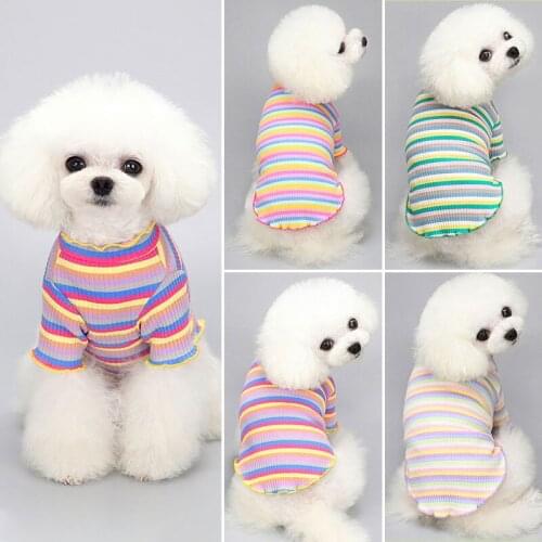 New Puppy Costume Rainbow Striped Dog Clothes Ruffle Collar Dogs Vest Shirts Spring Autumn Small Pet Chihuahua Knit Sweater
