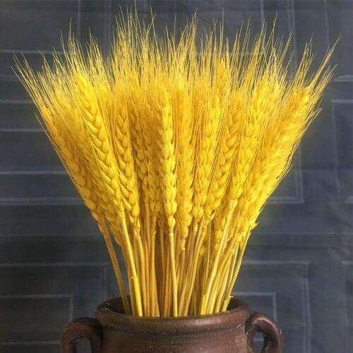 Boho Natural Raw Color Wheat Ears Real Artificial Flowers Bouquet Wedding Party Mariage Room Decor Home Accessories Wholesale