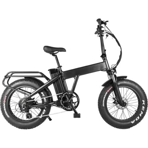 20 inch American Standard used new design 48V 350W 20 inch fat tire wheels ebike electric folding 48 volt e snow bike
