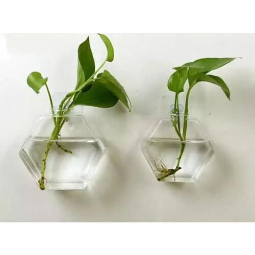 2020 Creative Wall-mounted Vase Glass Wall Hanging Plant Hydroponic Vase Micro Landscape DIY Bottle Hexagon Shape Vases