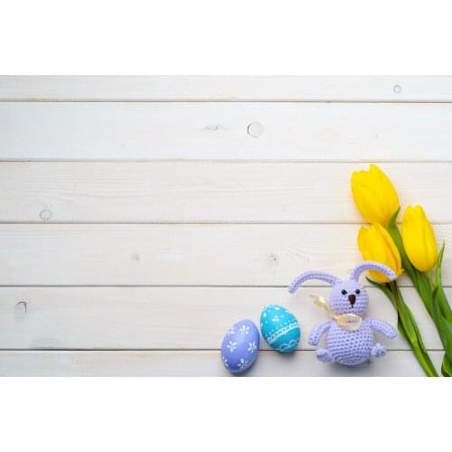 Eggs Tulip Rabbit Fotografie Achtergrond Photo Studio Background Baby Shower Backdrop E190127A100