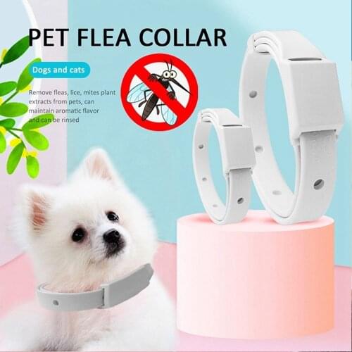 Dog & Cat Collar 8 Month Flea & Tick Prevention Collar Anti Flea Ticks Mosquitoes Silicone Adjustable Pet Collar Cat Accessories