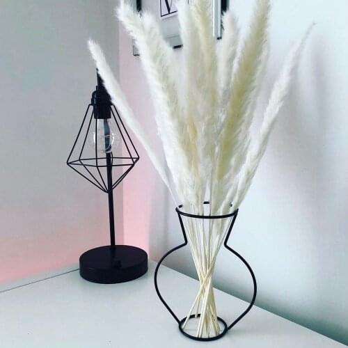 Multicolor Natural Dried Flowers Bouquet Real Cute Rabbit Tail Grass Fluffy Pampas Grass Decor Mariage Room Wedding Decoration