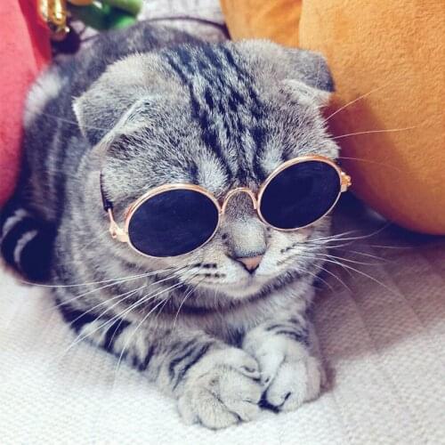 Fashion Pet Sunglasses Cat Vintage Round Glasses Photo Decoration Props Cat Accessories Funny Eye Glasses Pet Products
