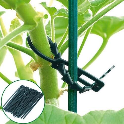 Garden Plant Ties Re-Usable Adjustable Plastic Tie Greenhouse Multi Purpose Tree Plant stem fixing buckle for summer gardening
